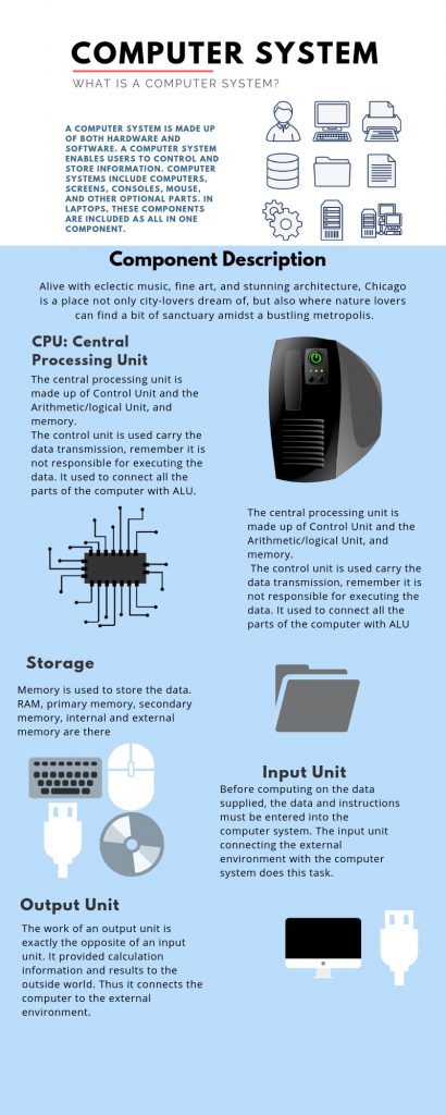 computer system infographic | Best Visual Infographics