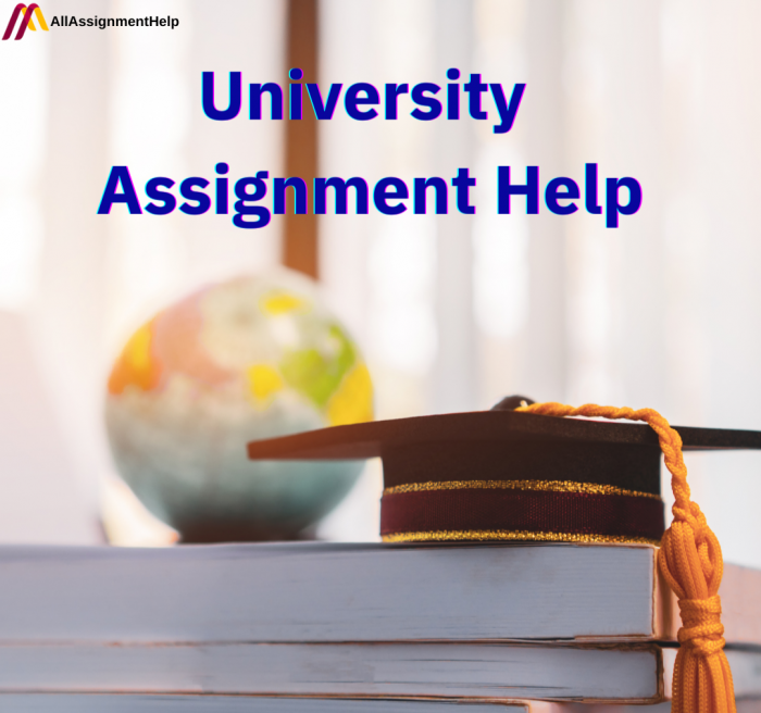 University Assignment Help