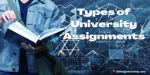 assignments in higher education