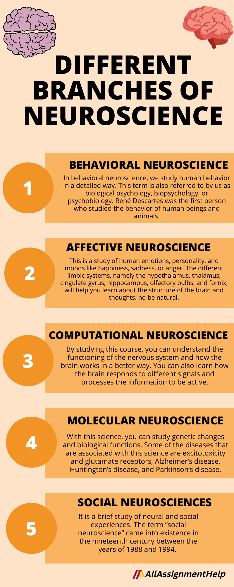 Neuroscience: A Study Of The Human Brain And Nervous System