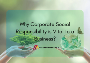 What Is Corporate Social Responsibility | Why It Is Important?