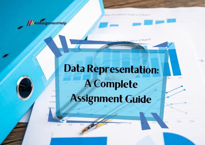 Data-Representation-A-Complete-Assignment-Guide-1.png