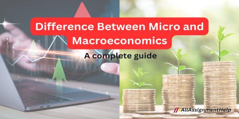 Difference Between Micro and Macroeconomics – a Complete Guide